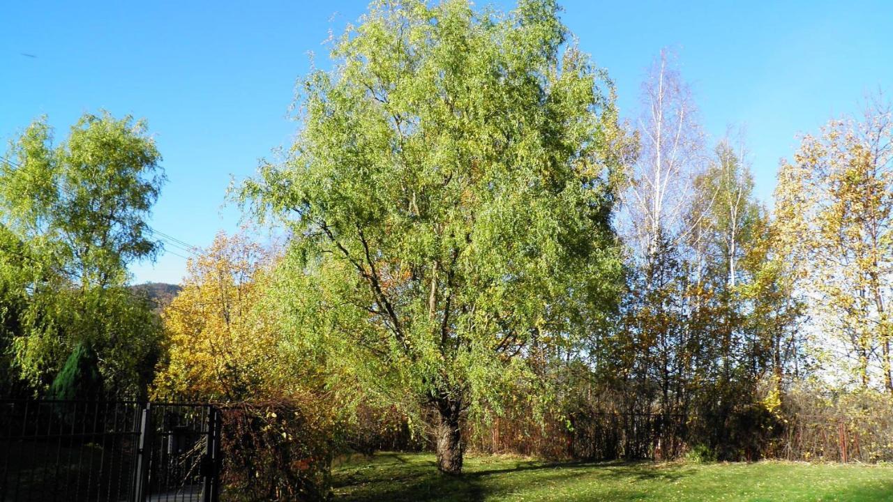 Podelniska Porąbka Exteriér fotografie